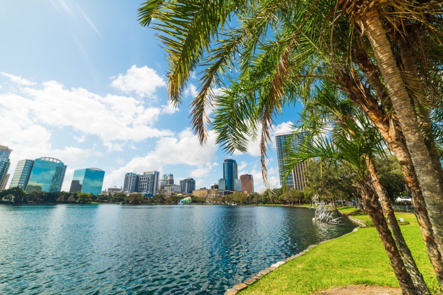 Palm trees and skyscrapers in Lake Eola park in Orlando