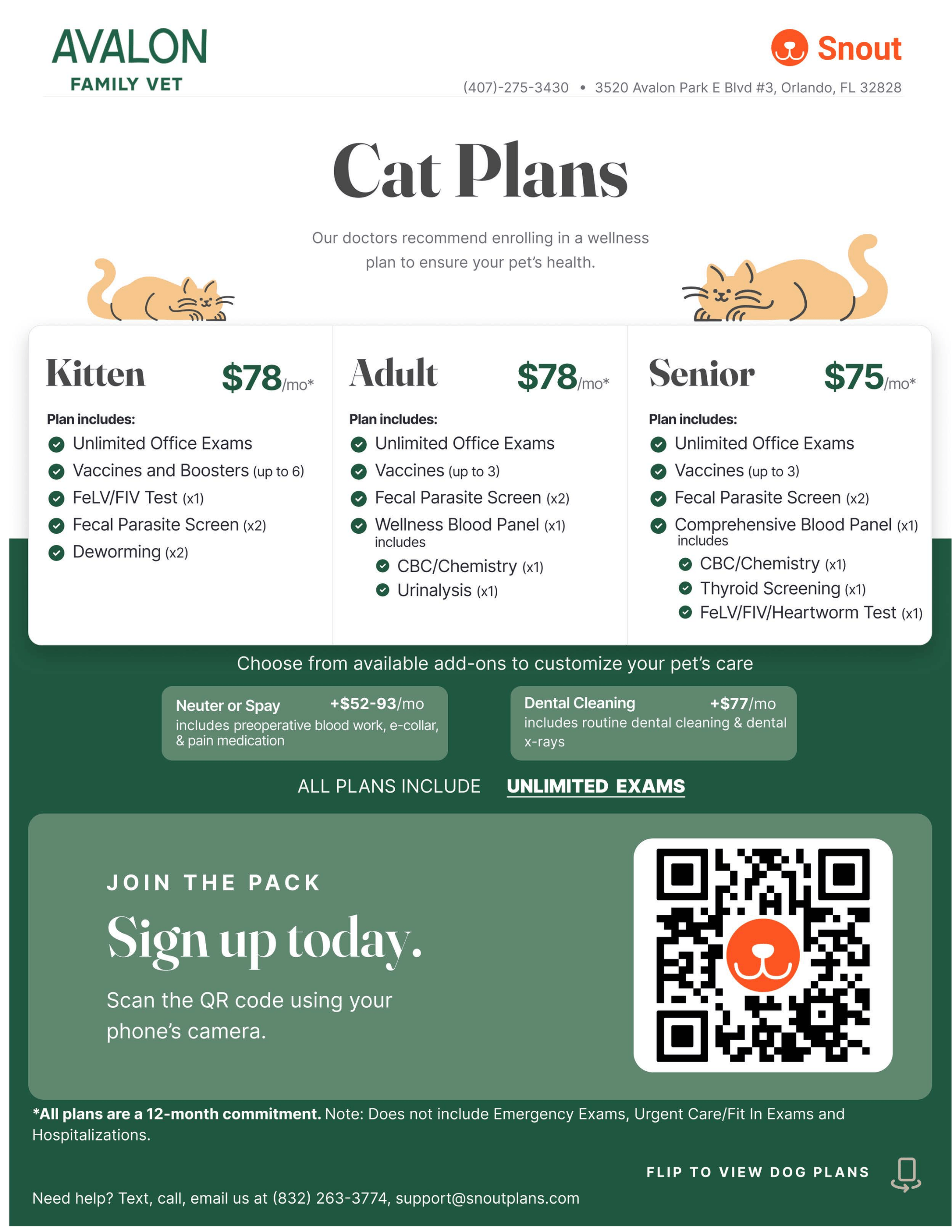 Avalon Family Vet Cat Plans Image