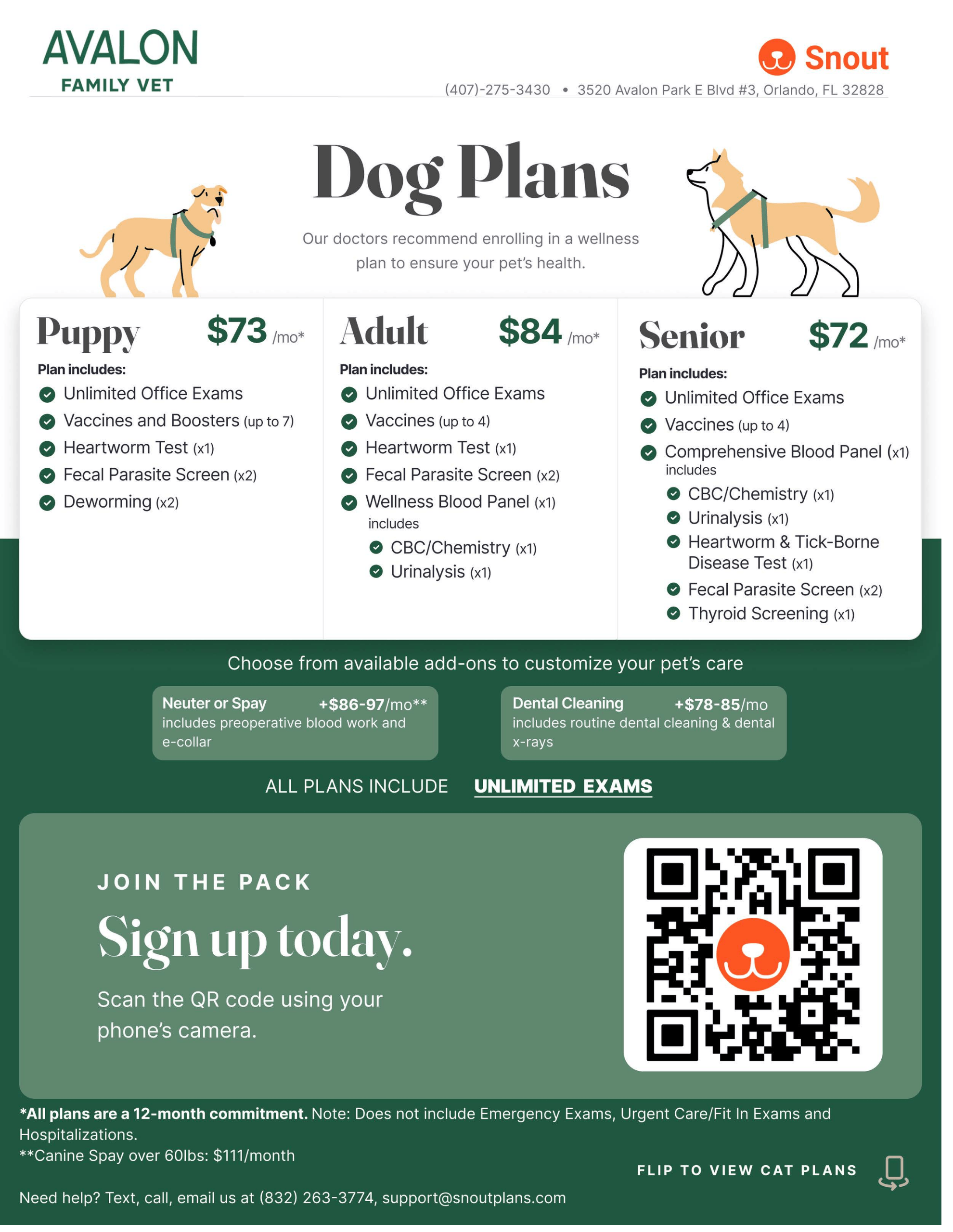 Avalon Family Vet Dog Plans Image